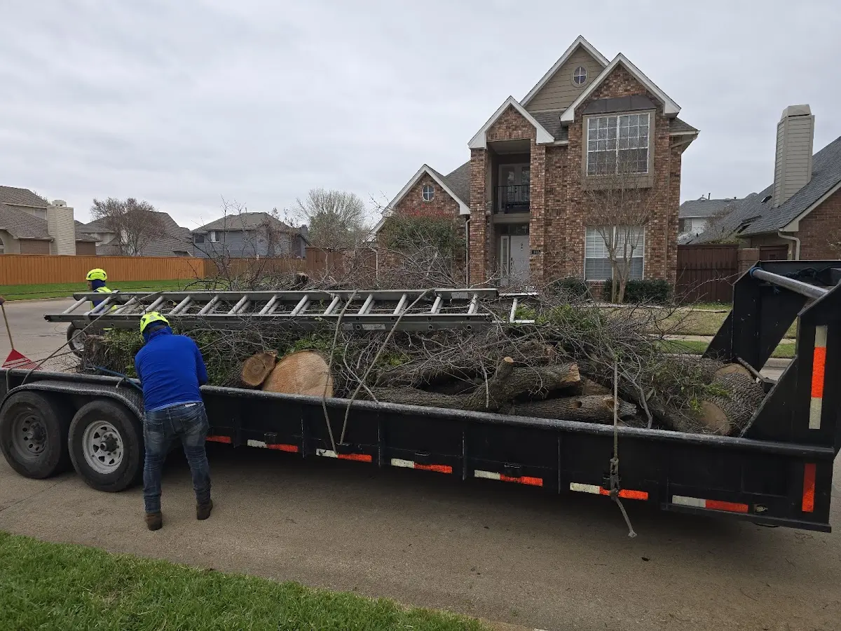 Expert Lot Clearing with proper safety equipment in Tinnie